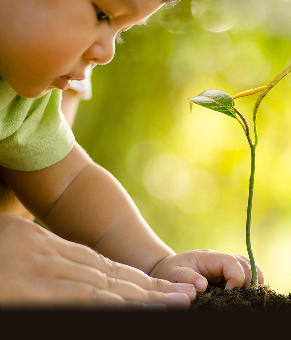 Close up Kid hand and father planting young tree over green and sunlight background