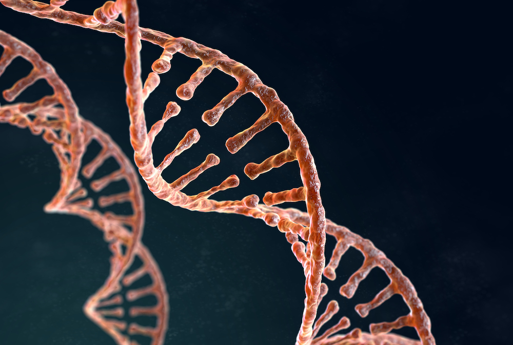 Double helix of DNA on the dark background
