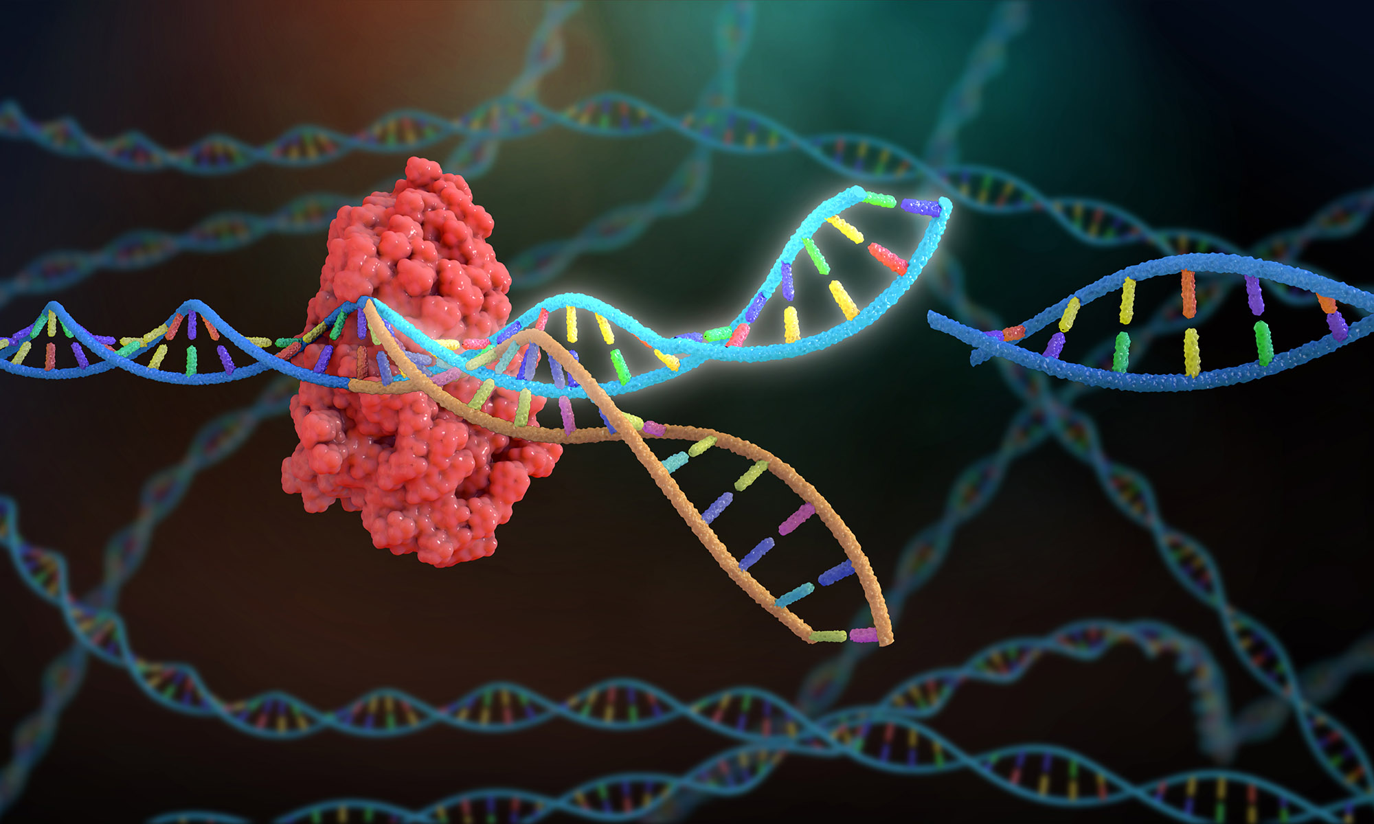 CRISPR Gene Editing - MRIGlobal