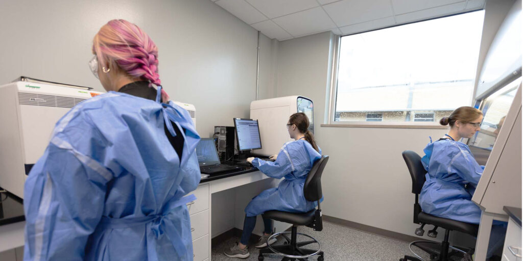 lab