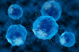 bacteria
