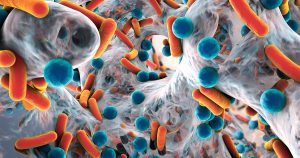 bacteria