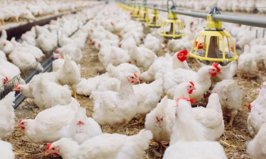 Agricultural Biosurveillance
