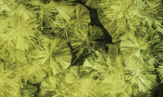 MRIGlobal Chemist Contributes Chemistry in Pictures: Crystal Dandelions