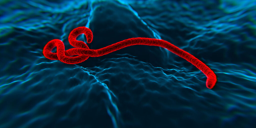 10 Years Since the West Africa Ebola Outbreak