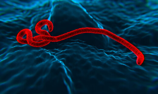 10 Years Since the West Africa Ebola Outbreak