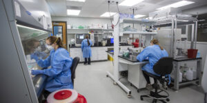 lab
