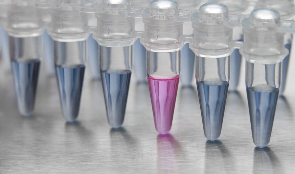 Pharmaceutical Analysis Supports Clinical Trials