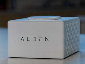 alden