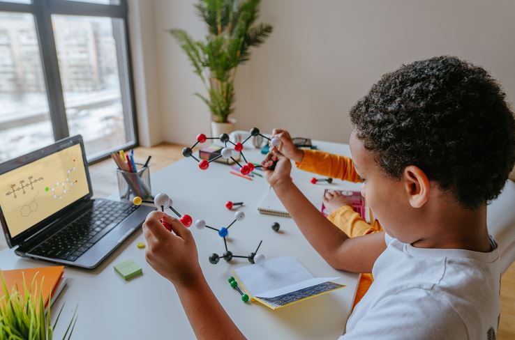 Science Fair Student