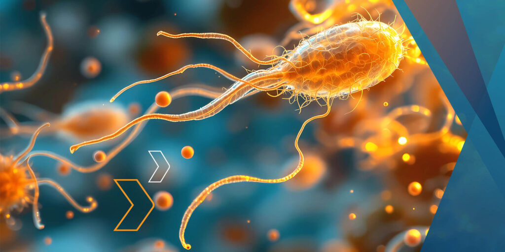 Battling Antimicrobial Resistance