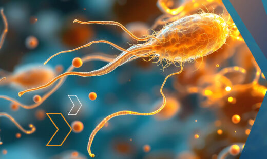 Battling Antimicrobial Resistance