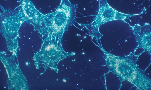 IARPA launches B24IC program, awards MRIGlobal research contract