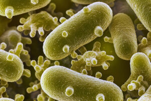 Developing Custom Pathogen Detection Panels