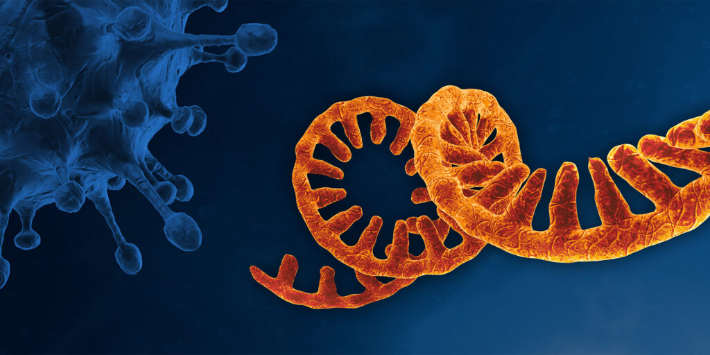 Development of mRNA Vaccines