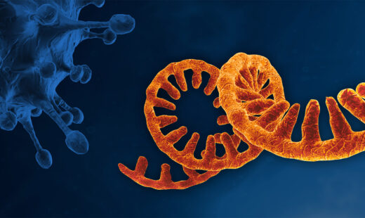 Development of mRNA Vaccines