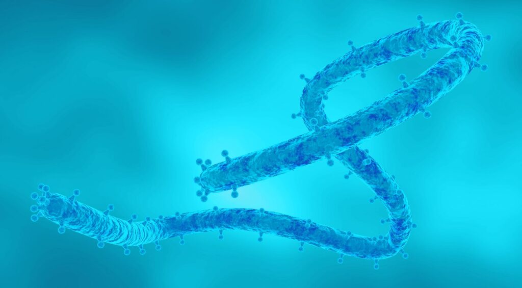 Marburg and Lessons Learned from Ebola