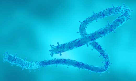 Marburg and Lessons Learned from Ebola